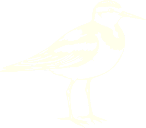 Stint